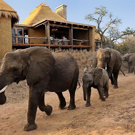 แคมป์ จาบูลานี ลอดจ์ Villa Kapama Game Reserve ภายนอก รูปภาพ