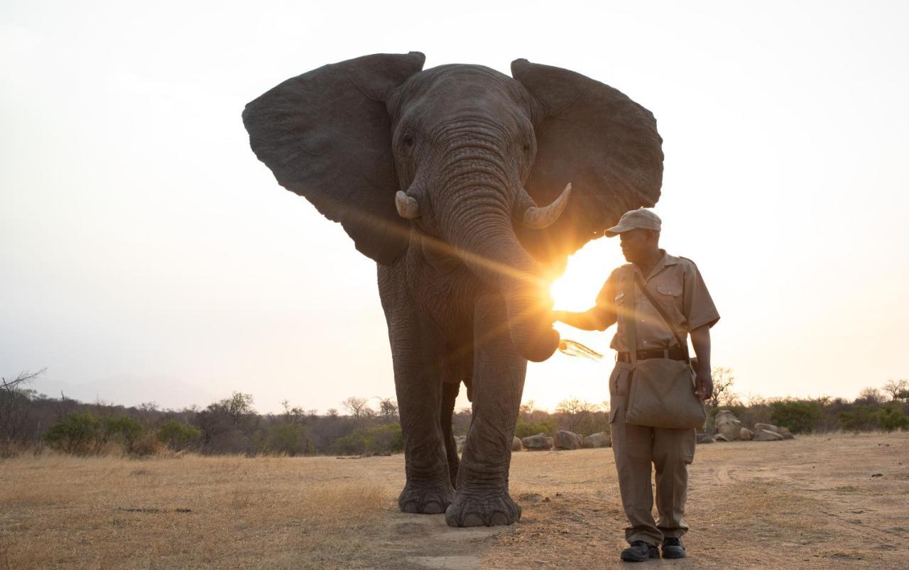 แคมป์ จาบูลานี ลอดจ์ Villa Kapama Game Reserve ภายนอก รูปภาพ