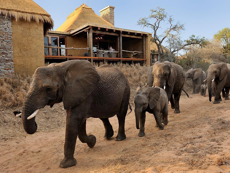 แคมป์ จาบูลานี ลอดจ์ Villa Kapama Game Reserve ภายนอก รูปภาพ