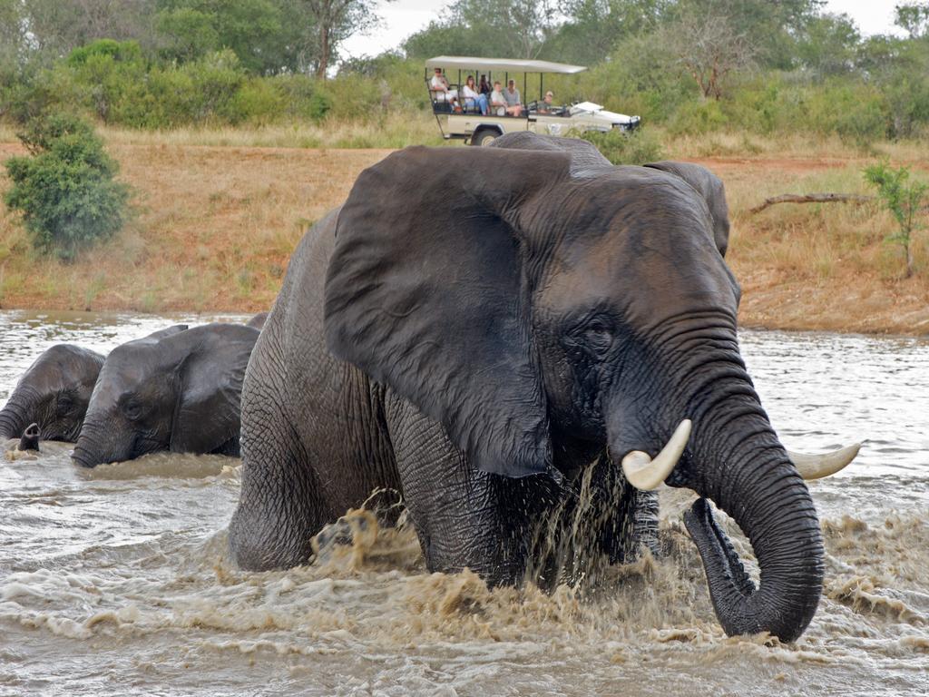 แคมป์ จาบูลานี ลอดจ์ Villa Kapama Game Reserve ภายนอก รูปภาพ